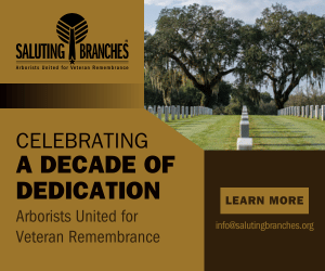 Saluting Branches sponsor banner