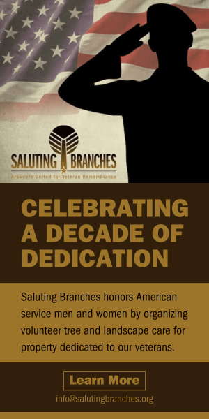 Saluting Branches sponsor banner